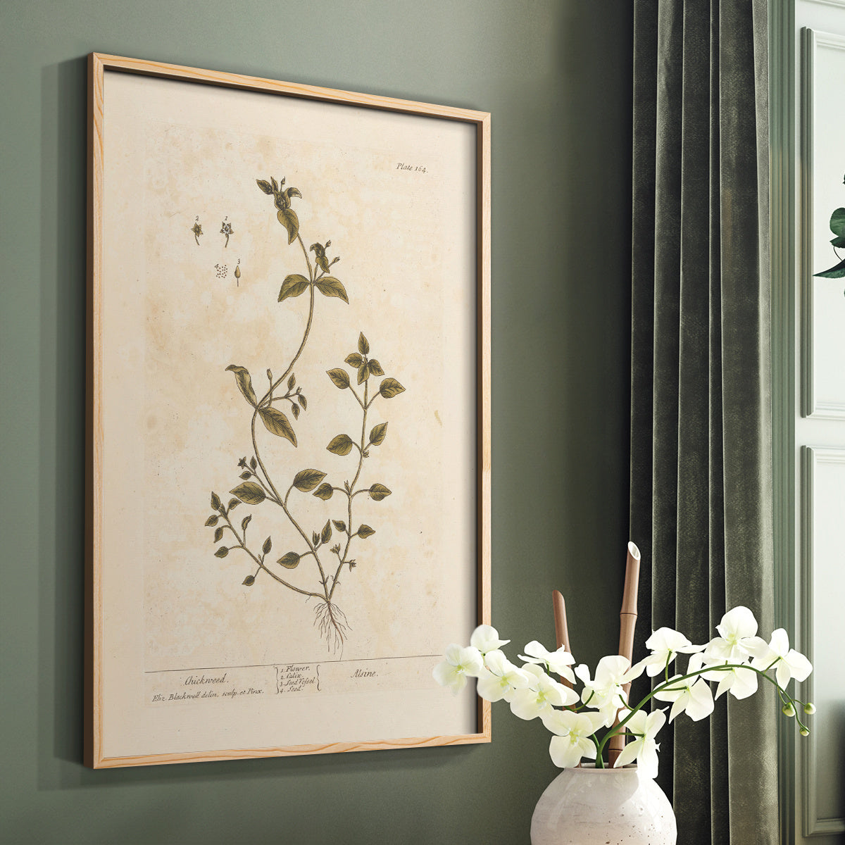 Vintage Botanical Flower Canvas Wall Art, Delicate Green Stem Study on an Antique Cream Background — artwork and room preview