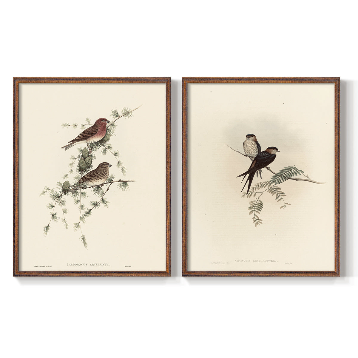 Vintage Bird Canvas Wall Art Set of 2, Delicate Birds on Branches in Soft Neutral Botanical Tones — artwork and room preview