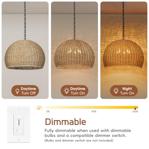 19.7 in 5-Light Rattan Dome Chandelier - TPPGpn